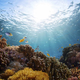 Illustration for article titled 18 Facts About The Ocean That Will Blow Your Mind